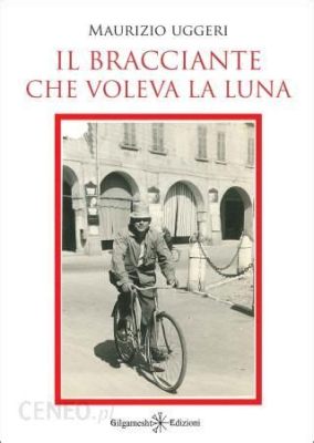  Il Ragazzo che Voleva la Luna! - Een Verhaal over Ambitie en de Onverwachte Gevolgen van Dromen